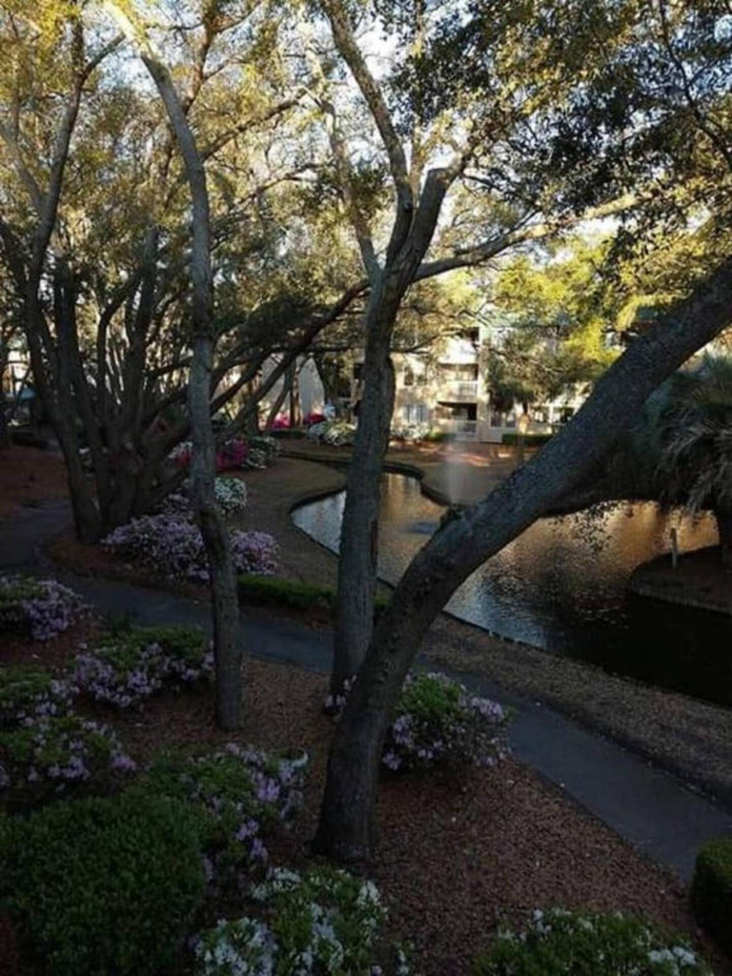 Villa Tranquility By The 1st Fl Sleeps 6,king Bed Hilton Head Island